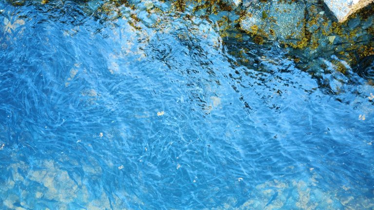 dji_fly_20250805_192012_491_1754450583038_photo_optimized.jpg