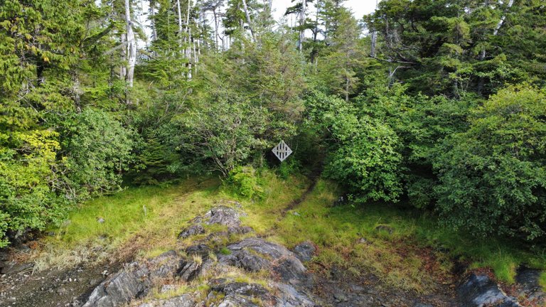 dji_fly_20250823_100700_663_1755972651580_photo_optimized.jpg