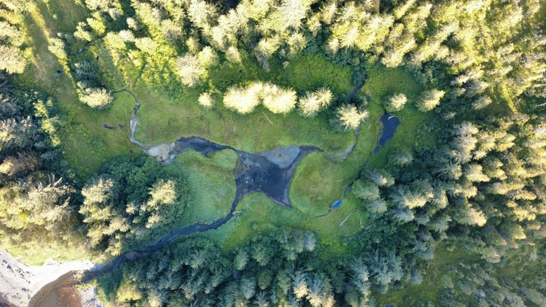 dji_fly_20250804_201224_479_1754367298732_photo_optimized.jpg