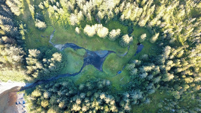 dji_fly_20250804_201156_478_1754367171563_photo_optimized.jpg