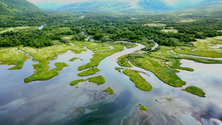 dji_fly_20250629_113632_9_1751226088974_photo_optimized.jpg