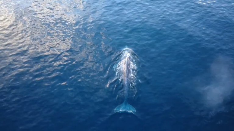 VideoCapture_20250810-120148.jpg