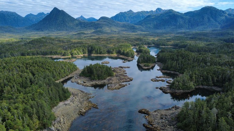 dji_fly_20250823_100332_657_1755972237043_photo_optimized.jpg