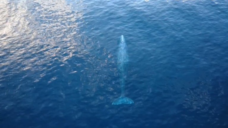 VideoCapture_20250810-120139.jpg