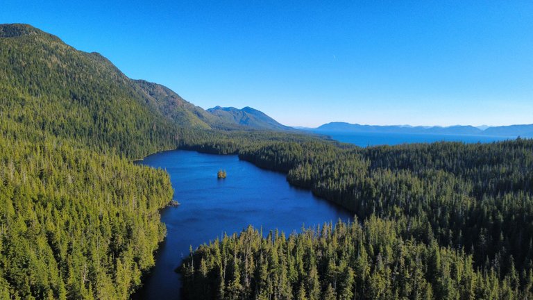 dji_fly_20250829_170612_762_1756516032647_photo_optimized.jpg