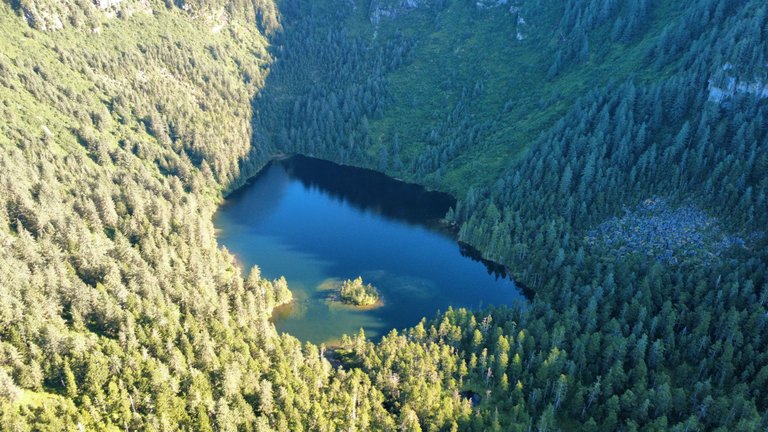 dji_fly_20250801_091258_417_1754068490746_photo_optimized.jpg
