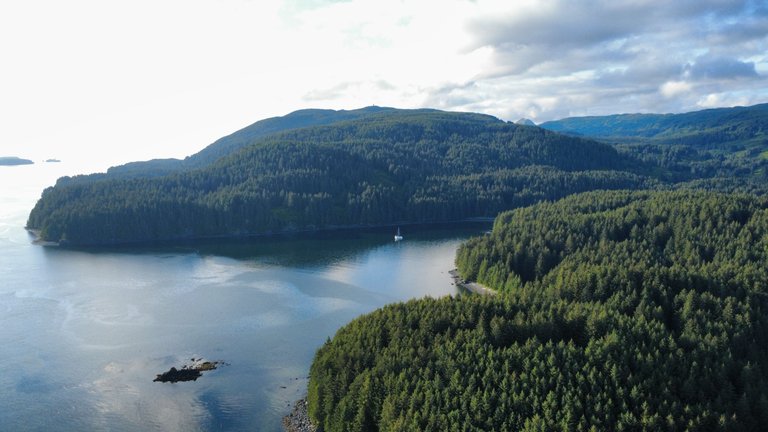 dji_fly_20250715_080400_205_1752595446769_photo_optimized.jpg