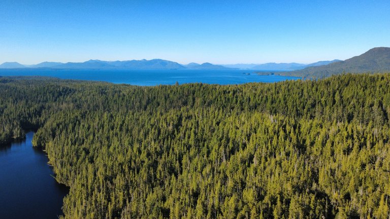 dji_fly_20250829_170730_766_1756516122274_photo_optimized.jpg