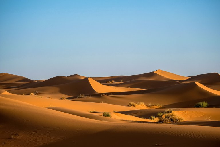 58-Desert.jpg