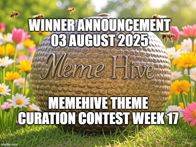 WinnerAnnouncementWeek17.png