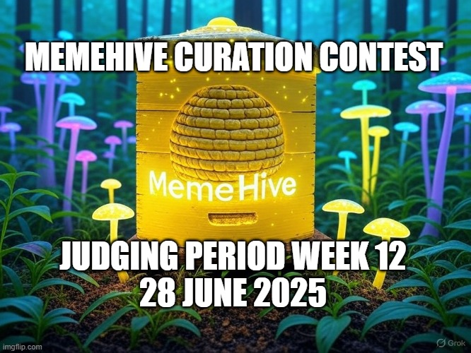 2025_06_28_JudgingPeriod.png