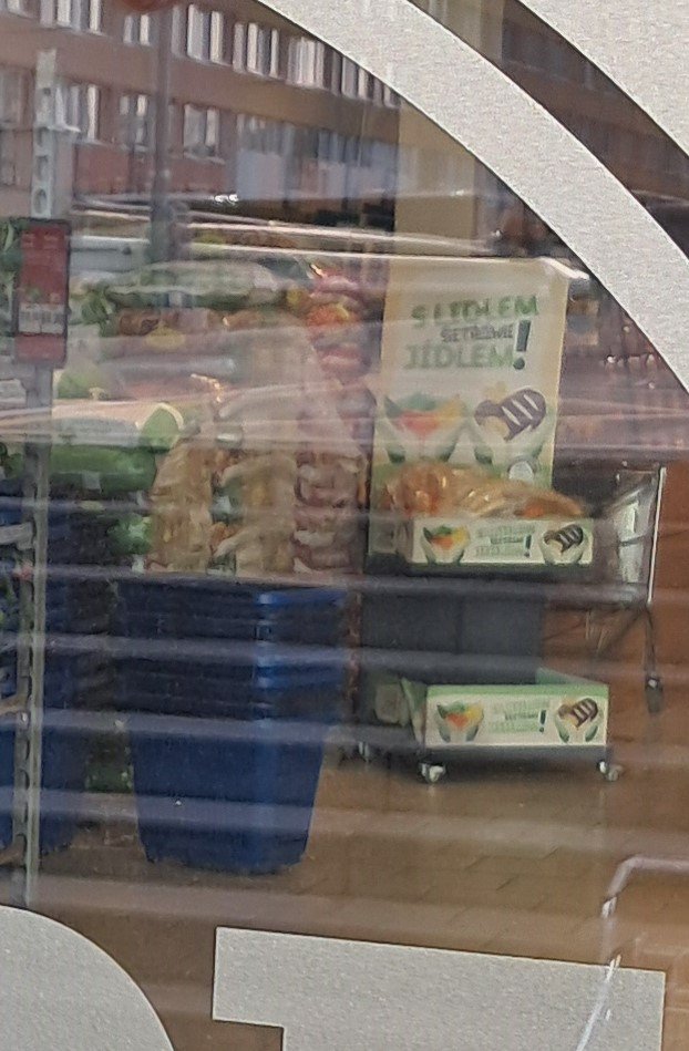 20250413_0753121.jpg