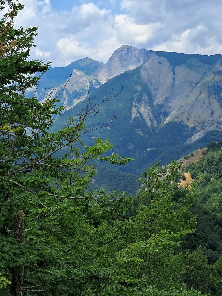 The Apuan Alps park!