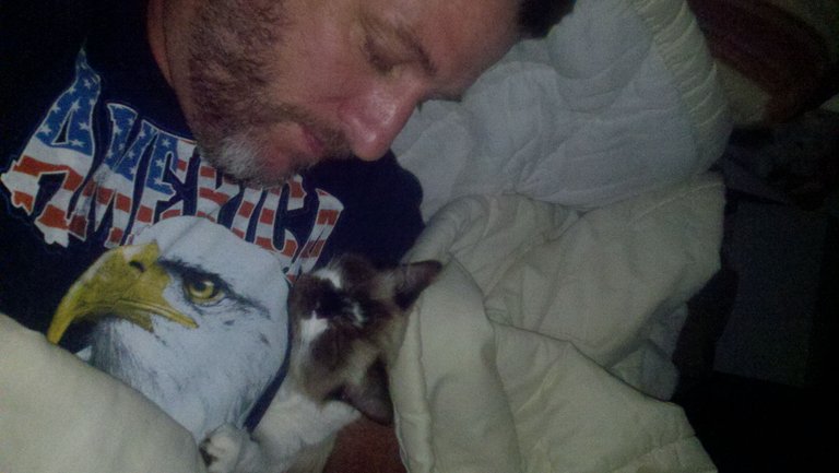 Cuddle Kitty 2012-10-03 (2).jpg
