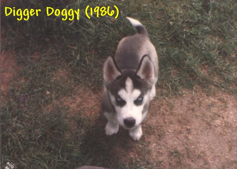 Digger Doggy (1986).jpg