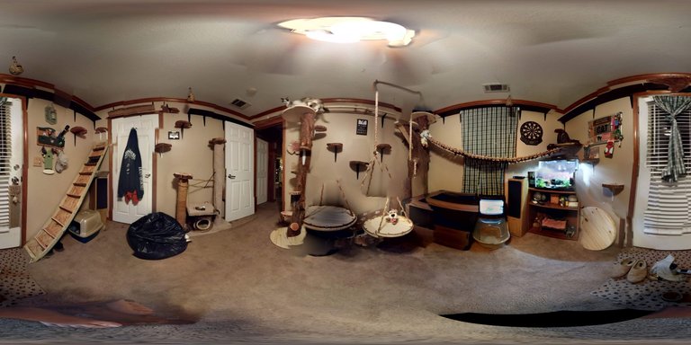 360° Wide Angle Catification Room Photo2016-11-13.jpg