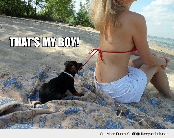 funny-cute-puppy-dog-pulling-womans-bikini-strap-beach-thats-my-boy-pics.png