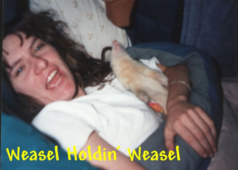 Weasel Holdin' a Weasel.jpg