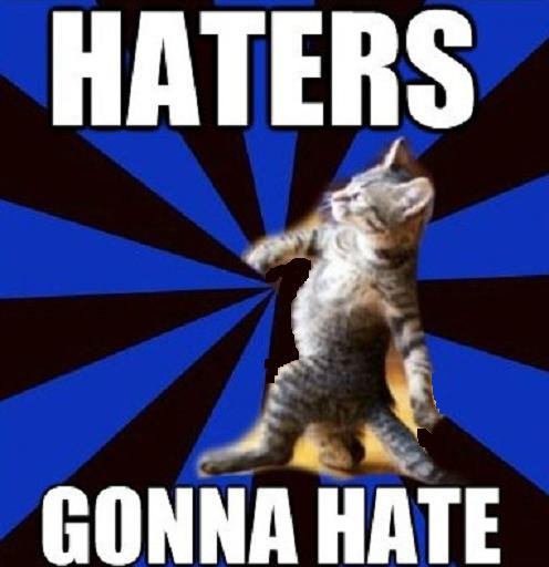Haters-gonna-hate-strutting-cat.jpg