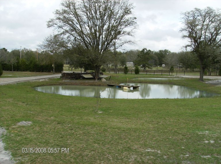 2 Ponds from New House.JPG