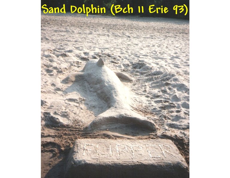 Sand Dolphin (Beach 11 Erie 93).jpg