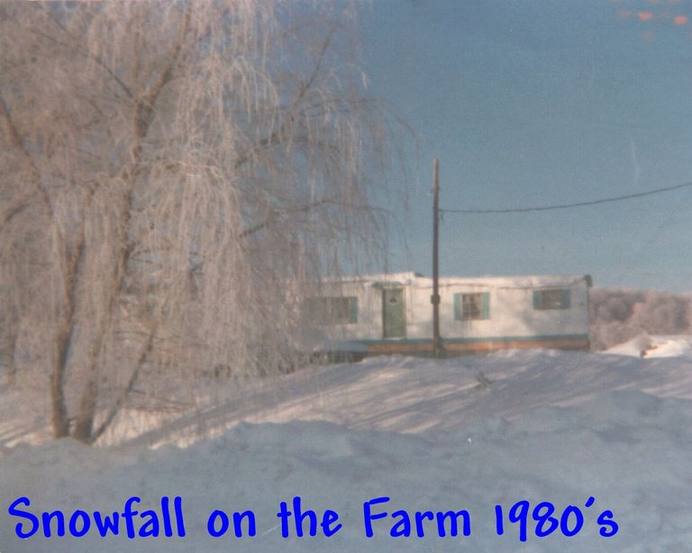 Snowfall on the Farm 1980's.jpg