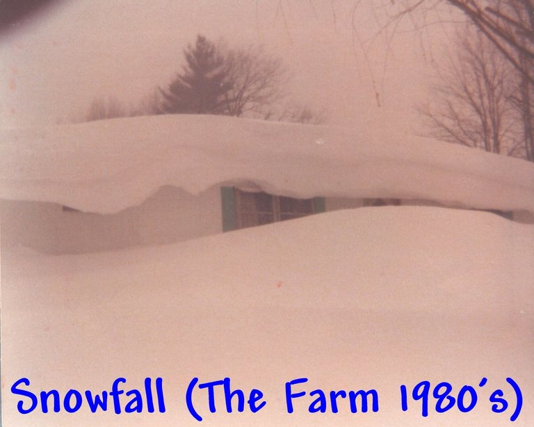 Snowfall (The Farm 1980's).jpg