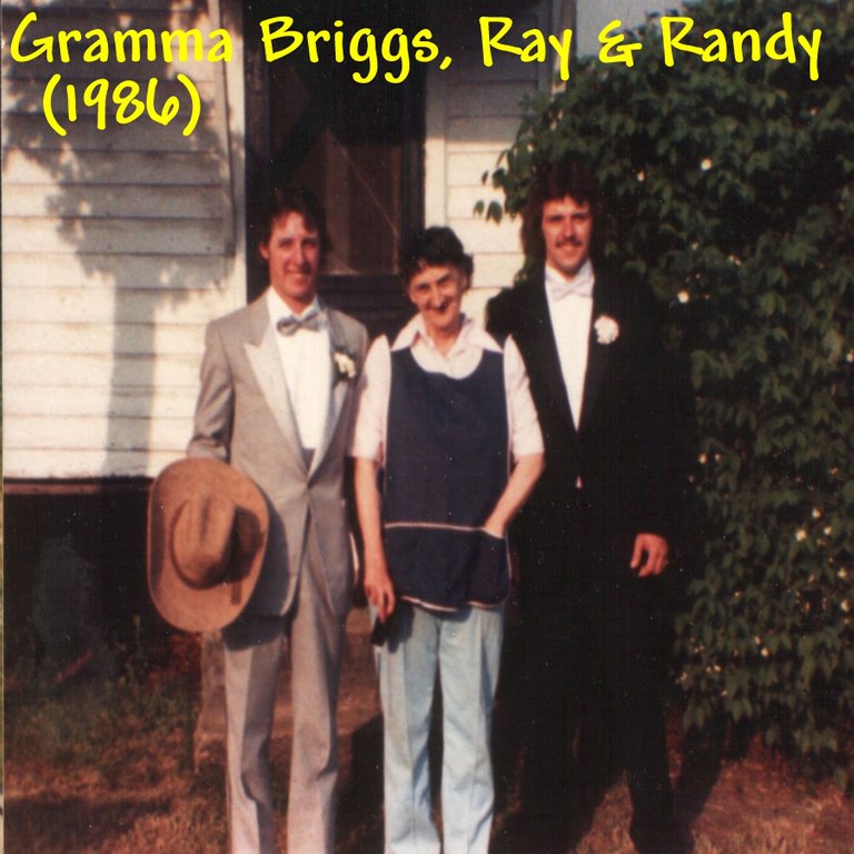 Gramma Briggs, Ray & Randy (1986).jpg