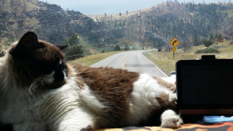 Montana Dashboard 20150817.jpg