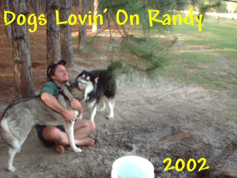 Dogs lovin on Randy.JPG