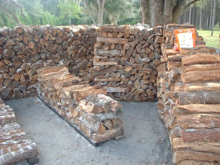 Wood Pile (5).jpg