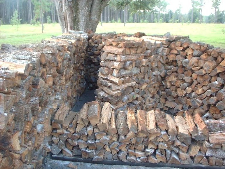 Wood Pile (4).jpg