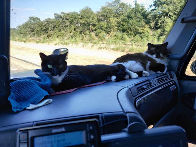 Dashboard Co-Pilots 2 2019-09-05.jpg