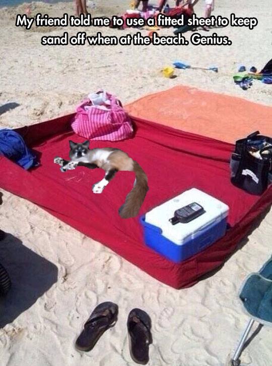 Meme Beach Blanket.jpg