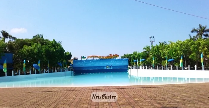 Wave Pool.png