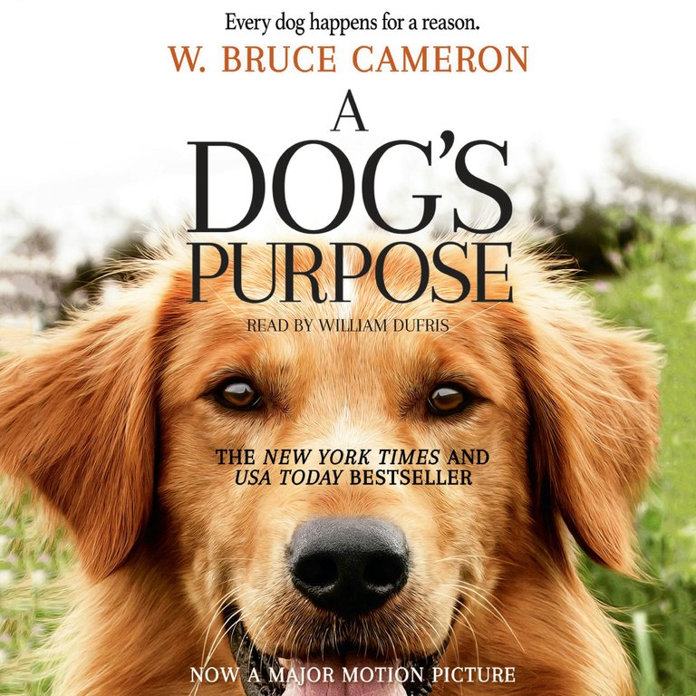 Review A Dog's Purpose