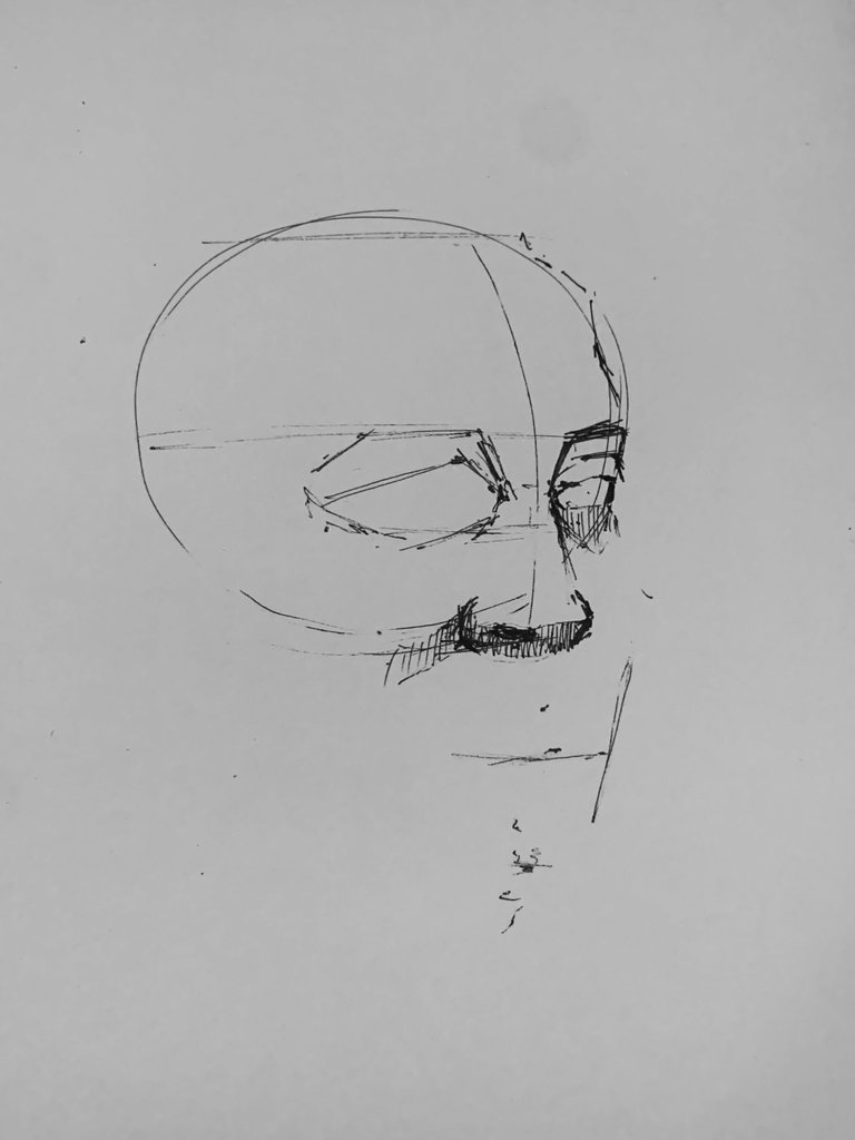 IMG_8741.jpeg
