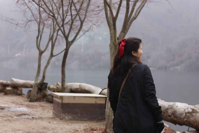 Nami Island Korea.JPG