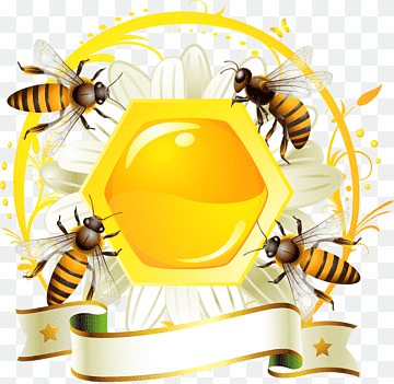 png-transparent-honey-bee-honey-bee-label-honeycomb-honey-decoration-food-decor-decorative-thumbnail.png