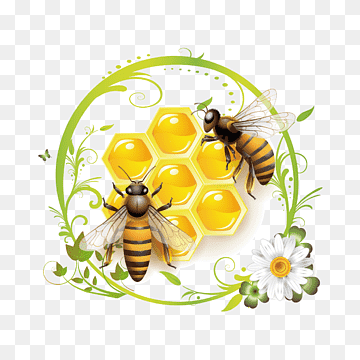 png-transparent-honey-bee-bees-and-honey-honey-jar-insects-flower-thumbnail.png