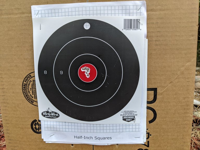 Ruger1022Custom30yards.jpg