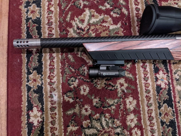 Ruger1022CustomOlight03.jpg