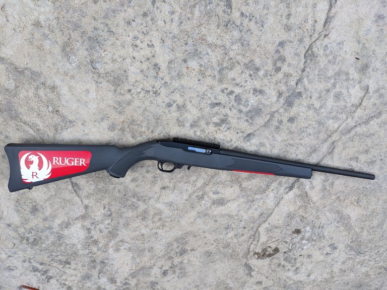 Ruger1022ori.jpg