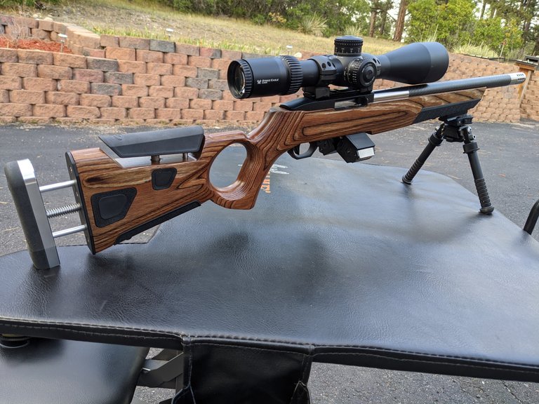 Ruger1022Custom01.jpg