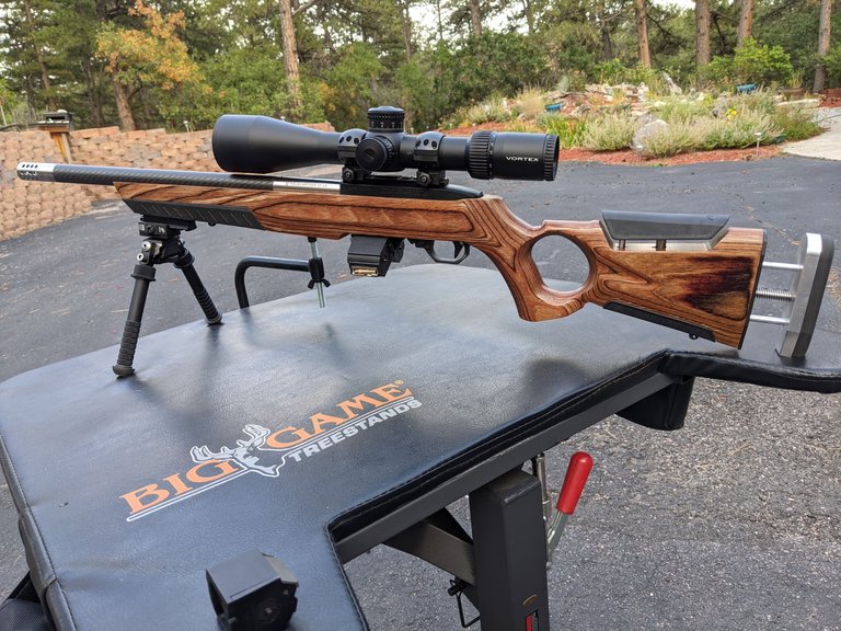 Ruger1022Custom03.jpg