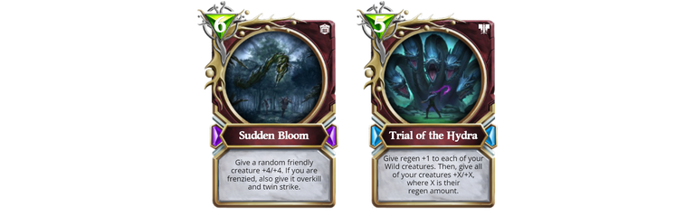 bloom.png