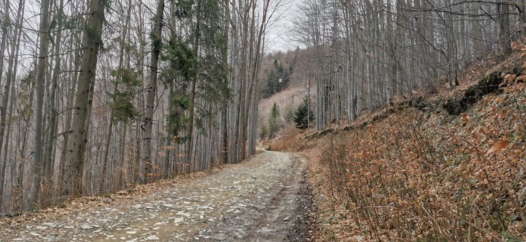 2025-03-12 14.49.38.jpg