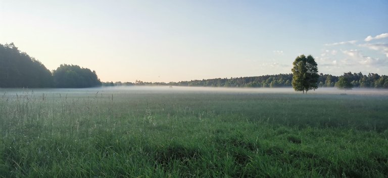 2025-06-26 05.40.09.jpg
