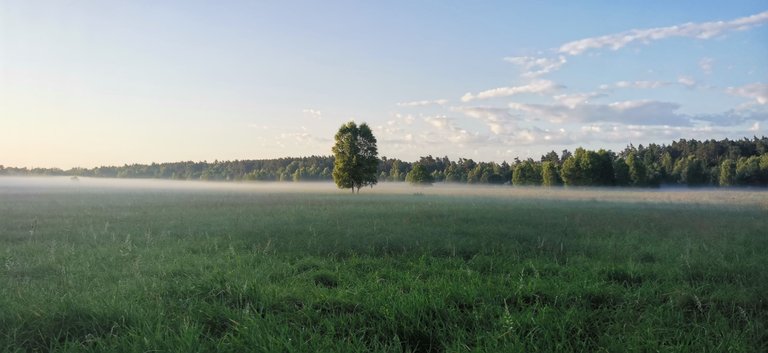 2025-06-26 05.39.48.jpg