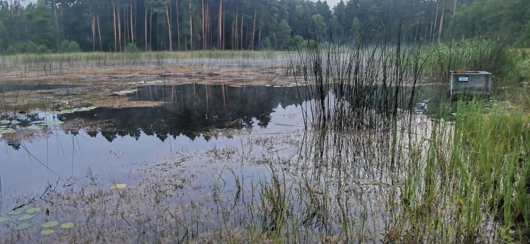 2025-07-19 05.30.56.jpg